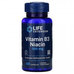 Life Extension Vitamin B 3 Niacin 500 mg 100 caps