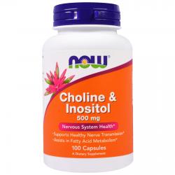 Now Foods Choline & Inositol 500 mg 100 caps