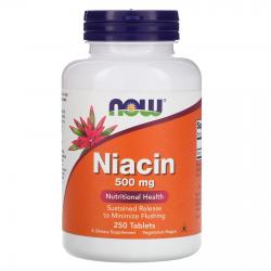 Now Foods Niacin 500 mg sustained release 250 tabblets